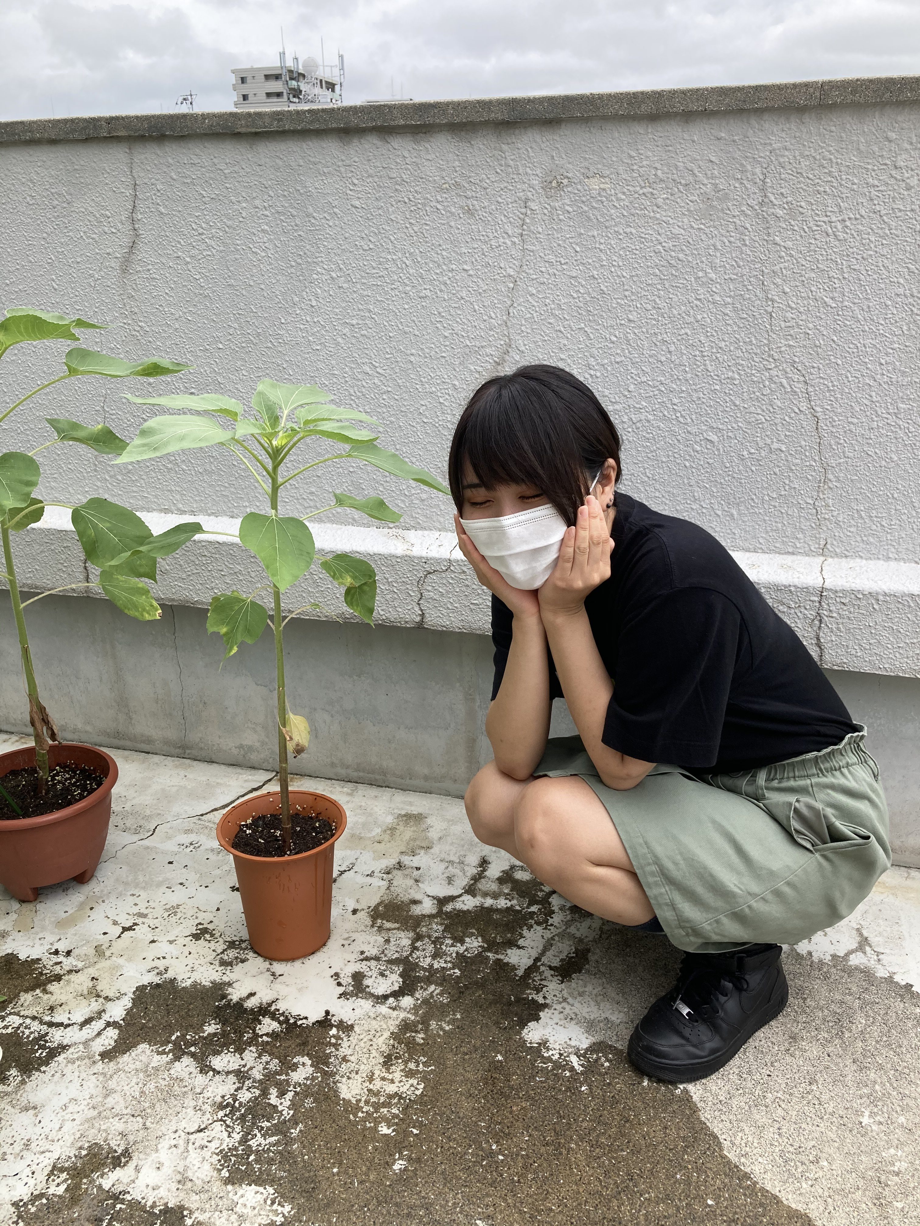 イメージ：【社会福祉メディカルソーシャル科】就職内定しました(^^)/