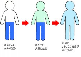 イメージ：【柔道整復師科＆鍼灸師科】運動中の水分摂取に気をつけよう