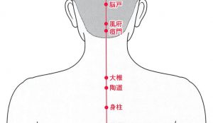 イメージ：【柔道整復師科＆鍼灸師科】東洋医学的冬の不調の予防策(*^-^*)