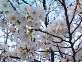 イメージ：【介護福祉科】介護福祉科2年生になりました！