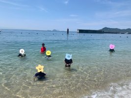 イメージ：【社会福祉メディカルソーシャル科】夏休みの思い出