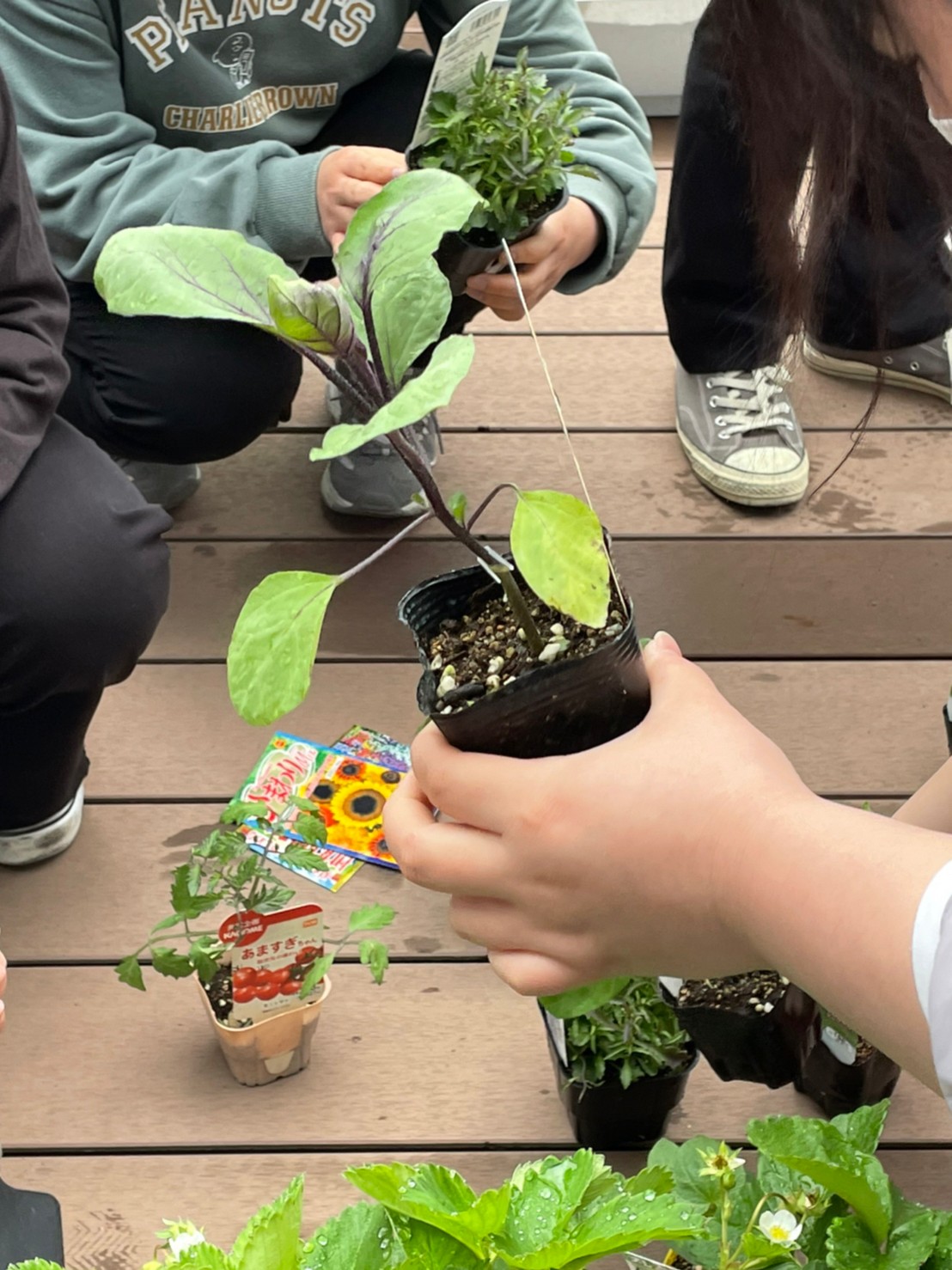 イメージ：【社会福祉メディカルソーシャル科】令和4年度 農業計画🍅🍆🥒🍉