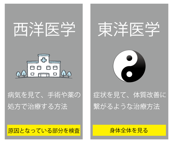 イメージ：鍼灸師はどんな仕事？（東洋医学と西洋医学の違い）