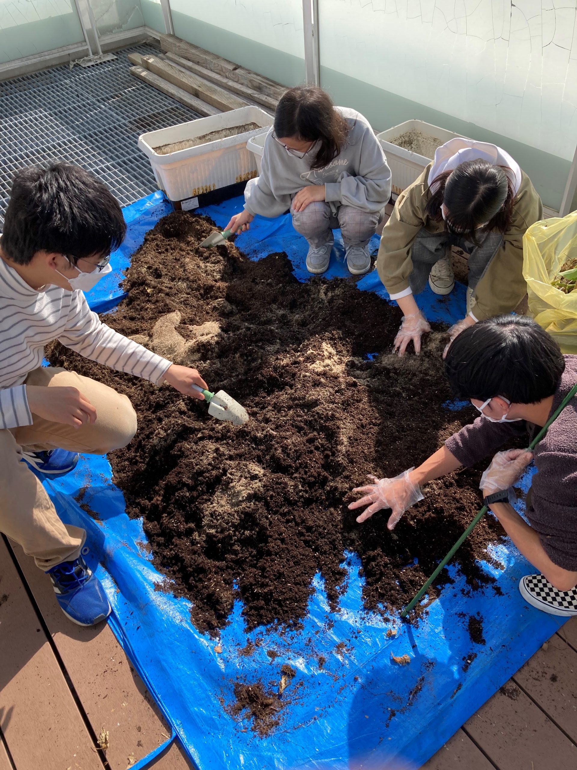 イメージ：【社会福祉メディカルソーシャル科】農園計画の報告