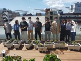 イメージ：【社会福祉メディカルソーシャル科】農園計画　夏野菜の苗植え