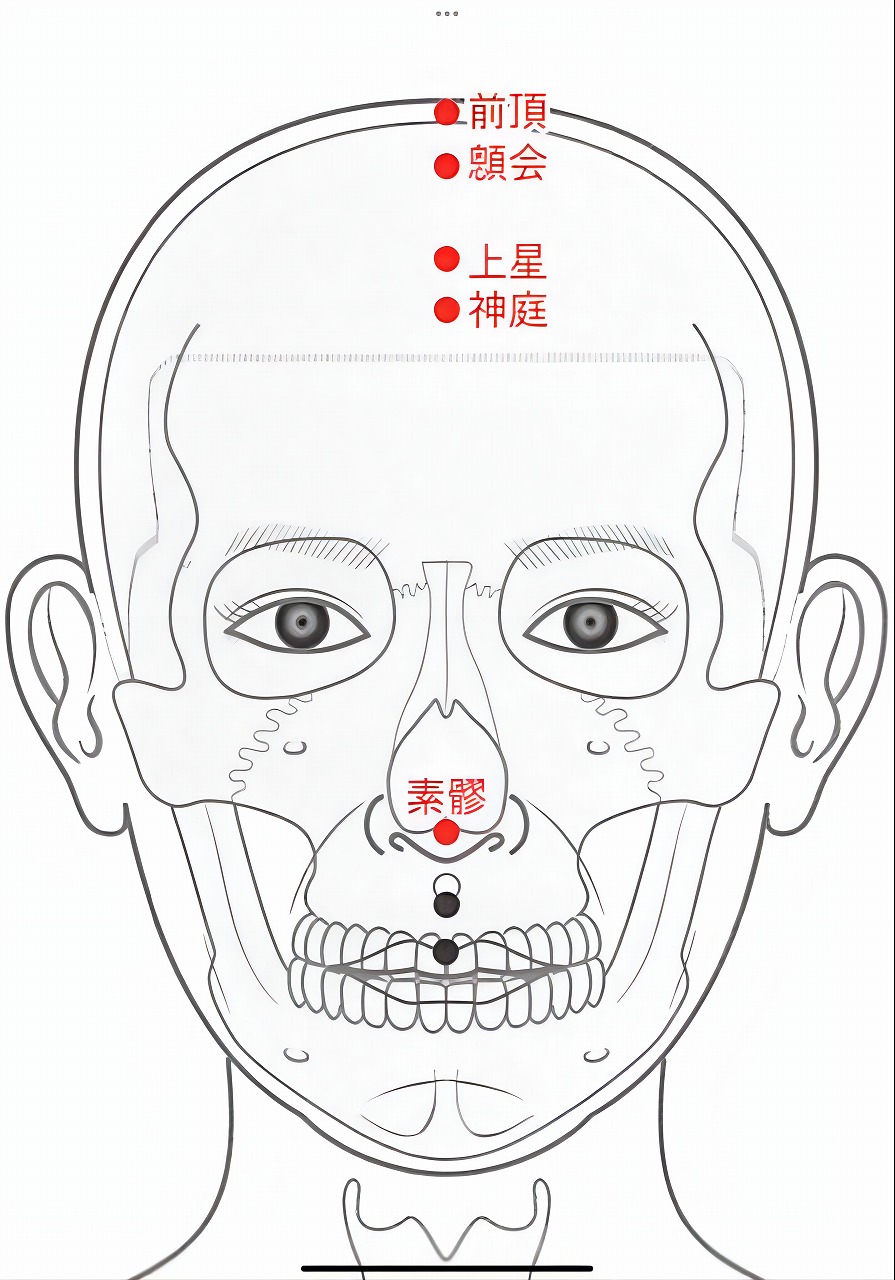 イメージ：【柔道整復師科＆鍼灸師科】鼻づまりをよくするツボ✨