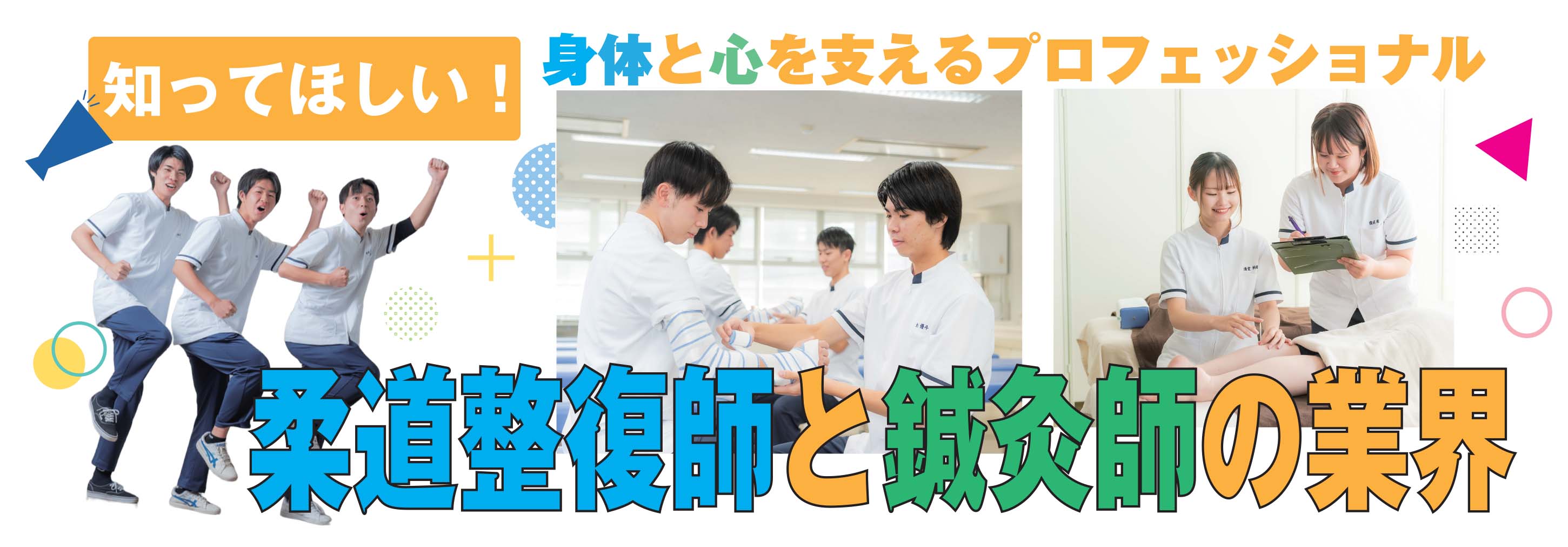 バナー：柔整鍼灸業界