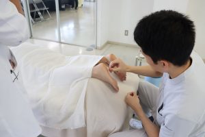 イメージ：【柔道整復師科・鍼灸師科】鍼灸師科の卒業実技試験が行われました🌟