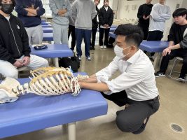 イメージ：【柔道整復師科＆鍼灸師科】プロスポーツトレーナーによる特別講義🌟